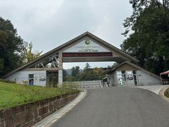 -中国大熊猫保护研究中心雅安碧峰峡基地