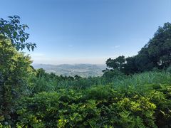 -广州市帽峰山景区