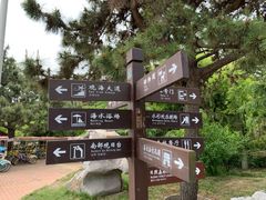 -日照海滨国家森林公园