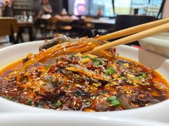 凉拌鸡-铁公鸡·四川料理(天环广场店)