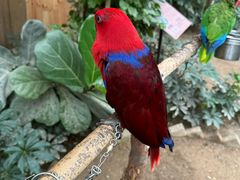 -南宫五洲植物乐园