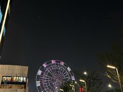 -南昌之星摩天轮