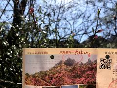 -青岛大珠山景区