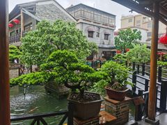 -猪肉婆私房菜(容桂总店)