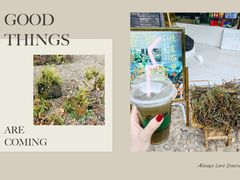 -莫里热带雨林景区