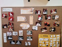 -滚猫咖啡·猫咖·猫友好撸猫(未来城店)