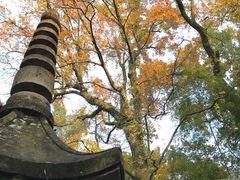 -溪口-滕头旅游景区