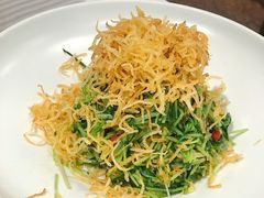 巧拌豆苗-四季民福烤鸭店(王府井灯市口店)