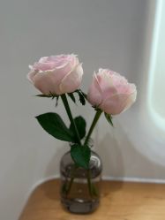 -程Studio