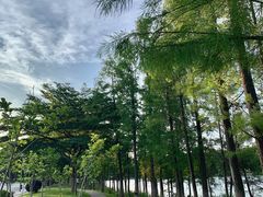 -东莞植物园