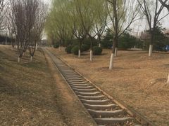 -永定河休闲森林公园