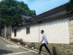 -南山植物园