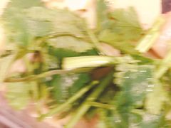 -振鼎鸡(丰庄路店)