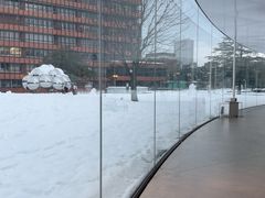 -金泽21世纪美术馆