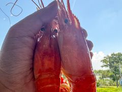 -蟹天蟹地农家菜·阳澄湖大闸蟹(浅水湾店)