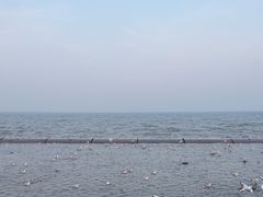 -天津东疆湾沙滩景区