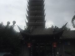 -生宇山珍野生菌汤锅•始于1999(双流古塔店)