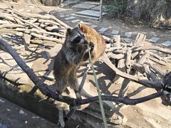 -宁波野生动物园