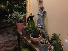 -花苑里咖啡(威远店)