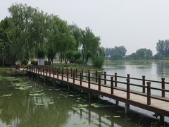 -白洋淀景区