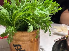 -丁卯•铜锅涮肉(工体店)