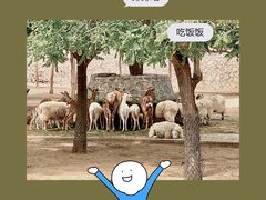 -石家庄市动物园