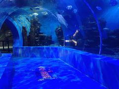 -石林冰雪海洋世界