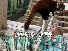 -哈尔滨极地公园
