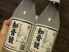 -武汉知音号