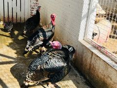 -金庭庄园酒店-停车场