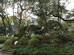 -浙江西子宾馆·瑶园咖啡厅