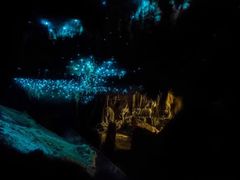 -怀托摩萤火虫洞