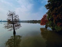 -海珠湖公园