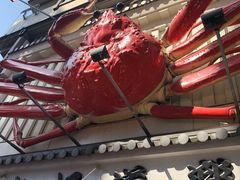 -蟹道乐(道顿堀本店)