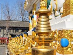 -护国法轮寺