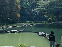 -四海公园(南山区)