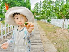 -前小桔亲子创意农场·草莓采摘·露营烧烤