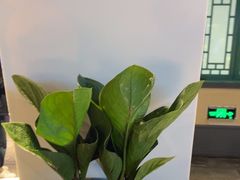 -胖老汉新疆特色椒麻鸡(南门店)