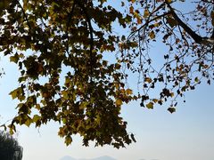 -云龙湖旅游景区