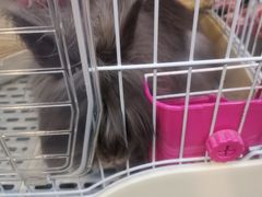 -UltraForce超源健身私教工作室(长楹天街精品店)