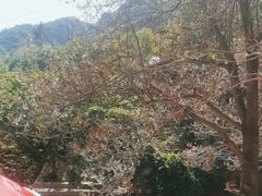 -京东石林峡风景区
