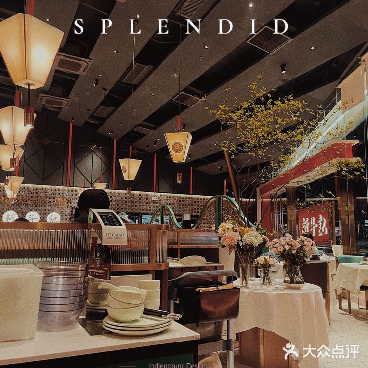 🤗从大排档到米其林 | 大湾区哥哥们选择的新斗记~