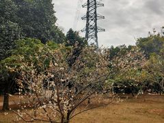 -中国移动南方基地