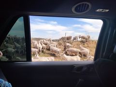 -芦芽山旅游度假区