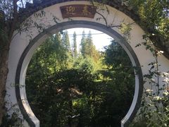 -日照海滨国家森林公园