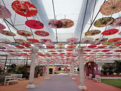 -广东花都香草世界旅游度假区