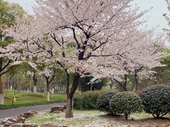 -堤角公园