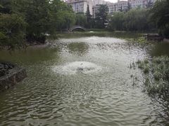 -西安市长乐公园