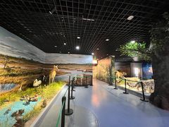 -北京麋鹿生态实验中心