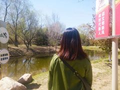 -长白岛森林公园